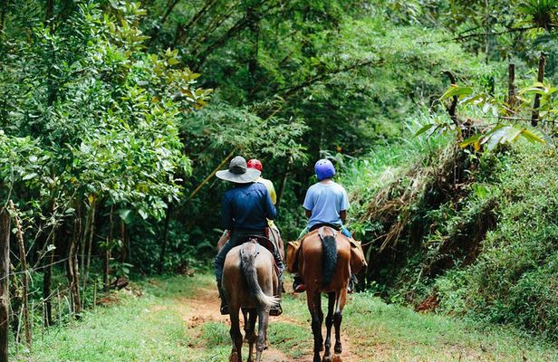 Horseback Riding and Waterfalls from Manuel Antonio