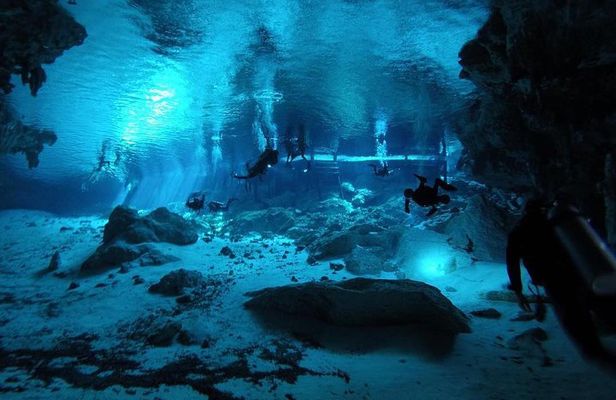 Dos Ojos Cenote Cavern Dive- The Barbie Line and The Bat Cave