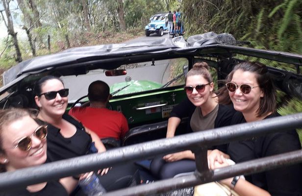 Cocora Valley: Birding & Hiking with Breakfast & Lunch
