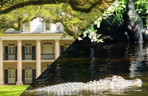 Oak Alley Plantation and Swamp Boat Tour from New Orleans