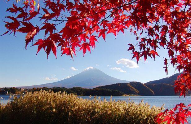 Discover Mt. Fuji area & Lake Kawaguchiko Sightseeing Day Tour