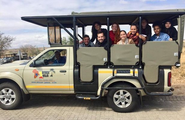 Budget 3 Day Kruger Safari from Johannesburg