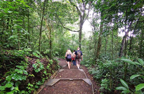 Hiking to the Rincon de la Vieja Volcano National Park Private Tour