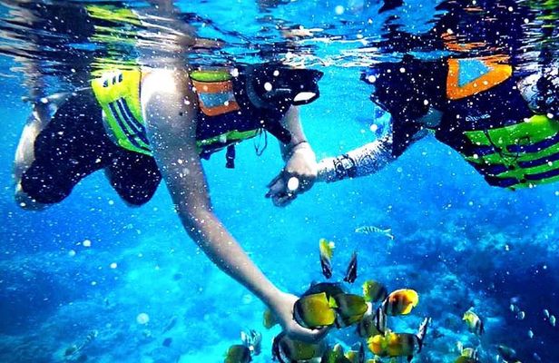 Blue Lagoon Paradise Snorkeling Tour