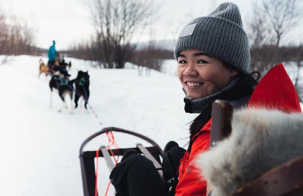 Dog Sled Tour and Husky Cuddles