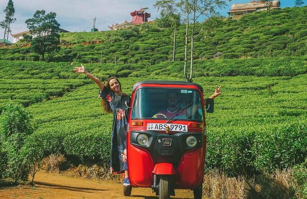 Exclusive: Tea Gardens and Waterfalls of Nuwara Eliya by Tuk-Tuk