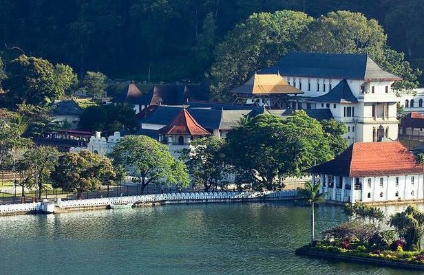 Private day tour kandy to nuwara eliya tea plantation