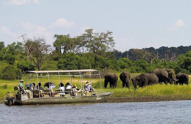Chobe Full Day Trip