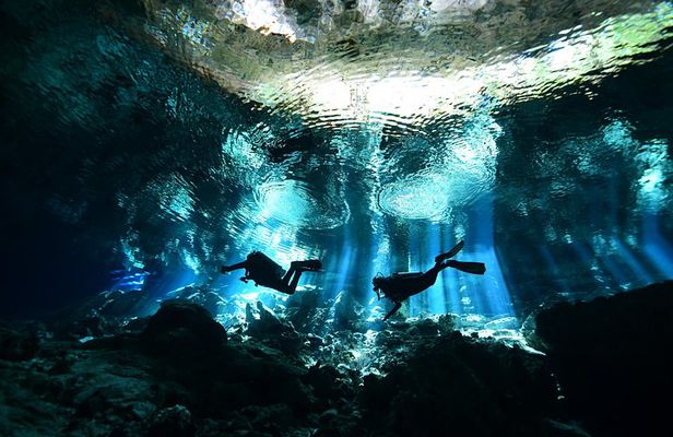 2 dives in Cenote Dos ojos Certified Divers