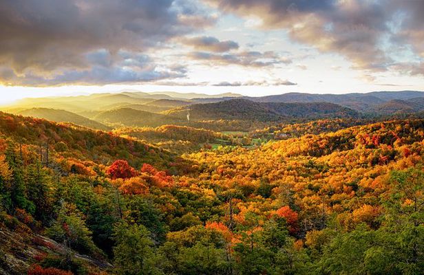 Private Waterfall and Blue Ridge Parkway Tour with a Naturalist 