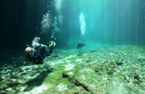Discover Scuba Diving in Tulum
