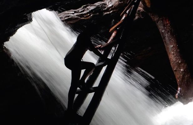 full-day | Jungle, Canyon and Cavern Tour