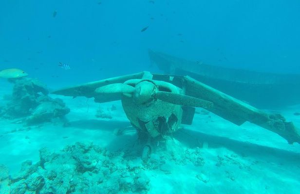 Small group snorkeling (5 people max): wrecks & tropical fishes at 3:30pm