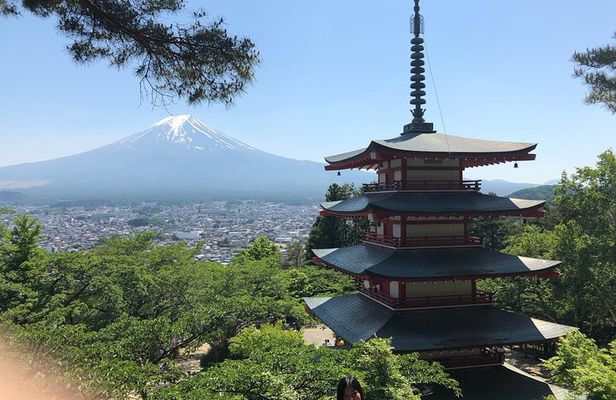 Full Day Mt.Fuji&Hakone Tour, From-To Tokyo, Yokohama, 2-12guests