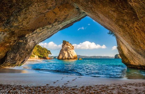 Hot Water Beach & Cathedral Cove Day Tour From Auckland