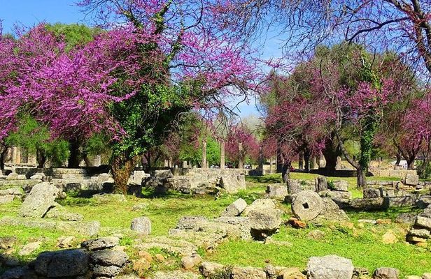 Private Olympia tour (4.5 hours)