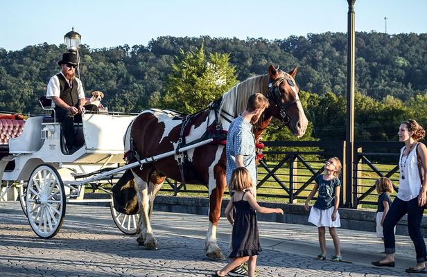 Private Chattanooga Horse & Carriage Tour