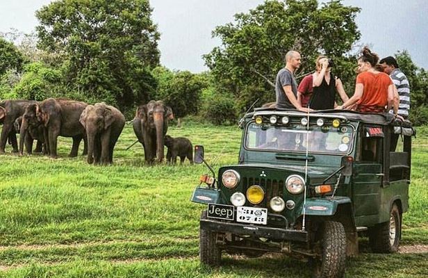 Wildlife and Nature Tour (18 Days , 17 Nights)