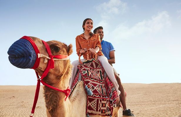 Evening Abu Dhabi Desert Safari & BBQ Dinner- Standard Tour 