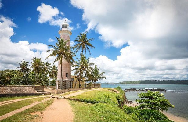 Galle Day Tour: Boat Safari, Stick Fishing & Turtles from Bentota