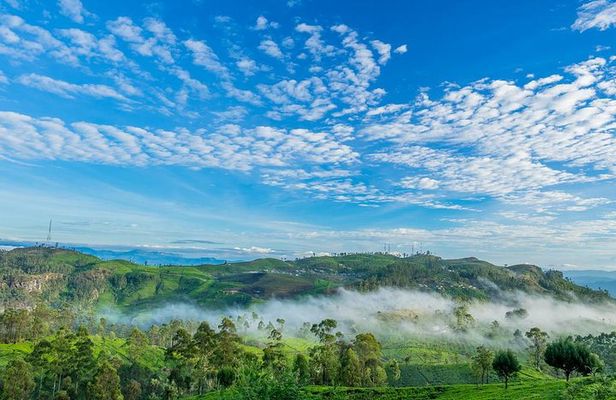 Lipton's Seat and Tea Factory,Trail Amidst Tea Plantation Day Tour 
