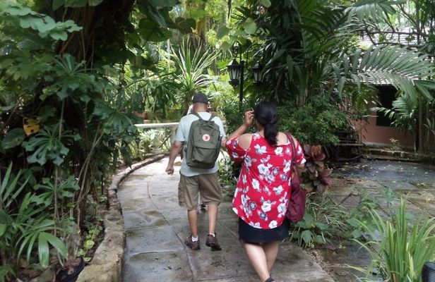 Dilly Dally Walking Tour of Nassau Attractions