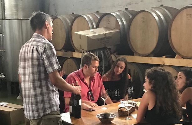 Hvar Small Group Wine Tour and Authentic Dalmatian Dinner