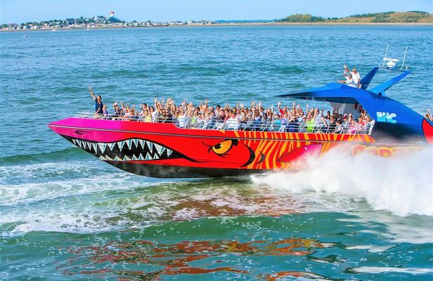 Boston Codzilla High-Speed Thrill Boat Ride