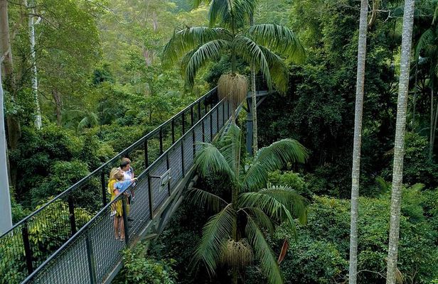 Deluxe Tamborine, Springbrook, Skywalk, Glow Worm Cave