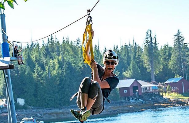 Ketchikan Shore Excursion: Rainforest Canopy Ropes and Zipline Adventure Park