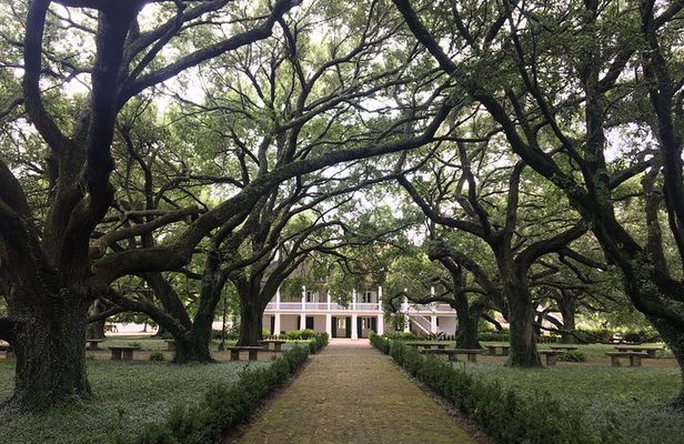 Whitney Plantation Private Tour With Round-Trip Transportation