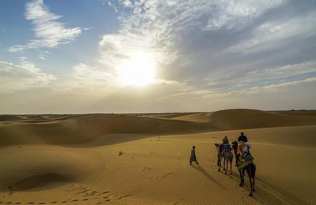 Camel safari in thar desert