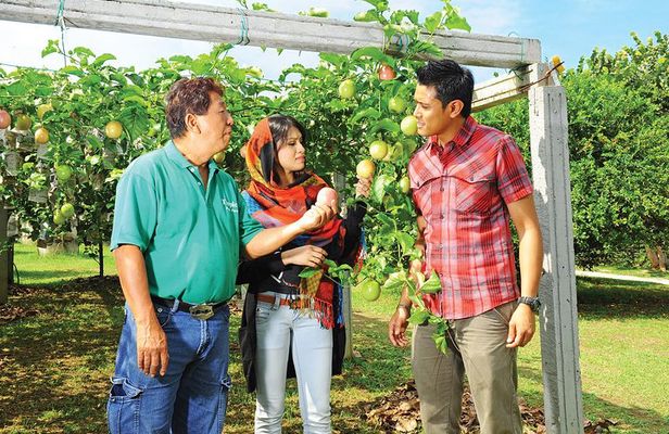 Penang Tropical Fruit Farm with Fruit Tasting