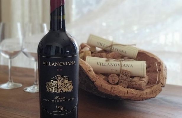 Discovering the Bolgheri vineyards and tasting local products 