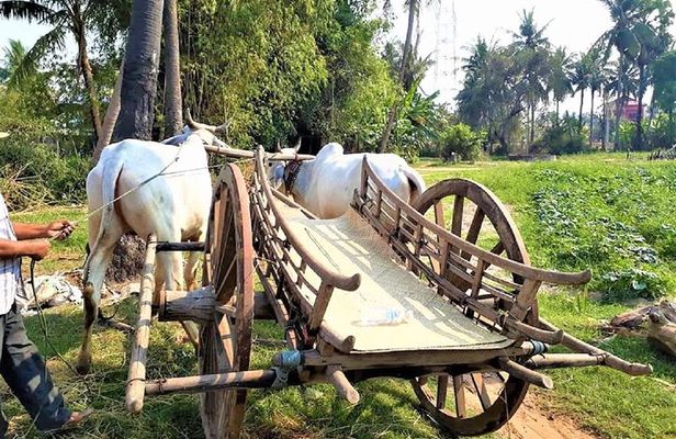 Rural Village with Ox Cart Journey & Monk Blessing