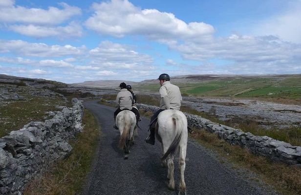 Horse riding - Burren Trail. Lisdoonvarna, Co Clare. Guided. 3 hours.