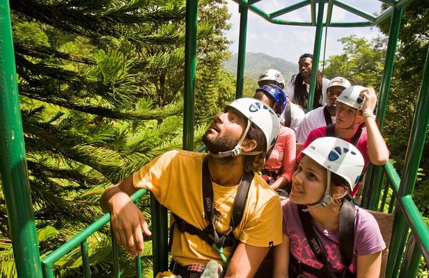 St. Lucia Aerial Tram Tour at Rainforest Adventures