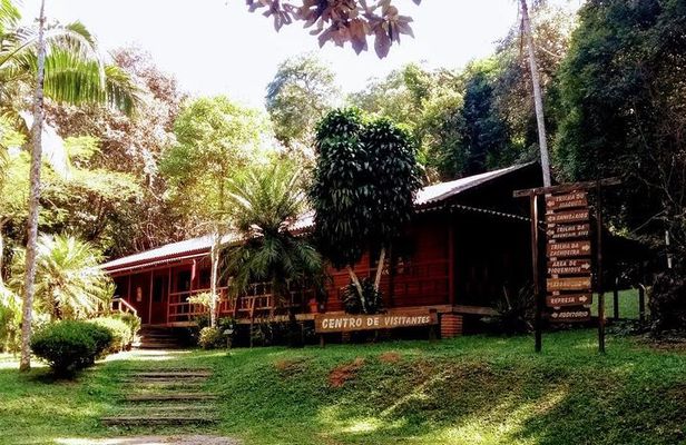 Rain Forest Trail Cantareira Natural Park from Sao Paulo