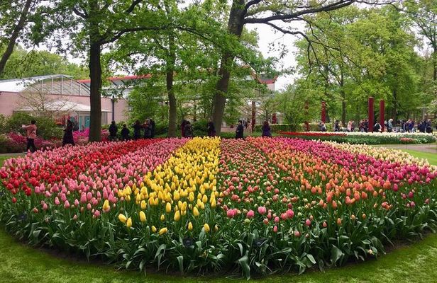  Keukenhof Tulips and Zaanse Schans Windmills Private Day Tour