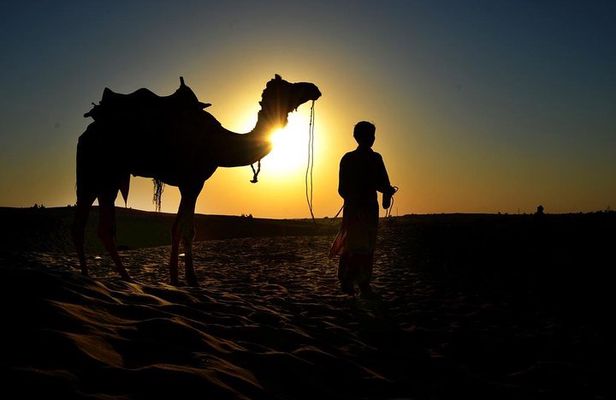 Camel Ride & Barbeque Dinner at the Pyramids