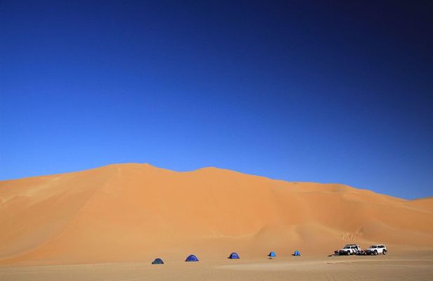 Evening Desert Safari with Belly Dance and BBQ Dinner and Camel Ride