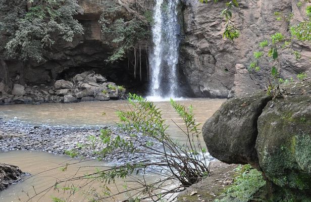 Lake Nakuru Daytrip using Safari Landcruiser