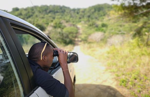 Addo Elephant Park multi-day Photo Safari