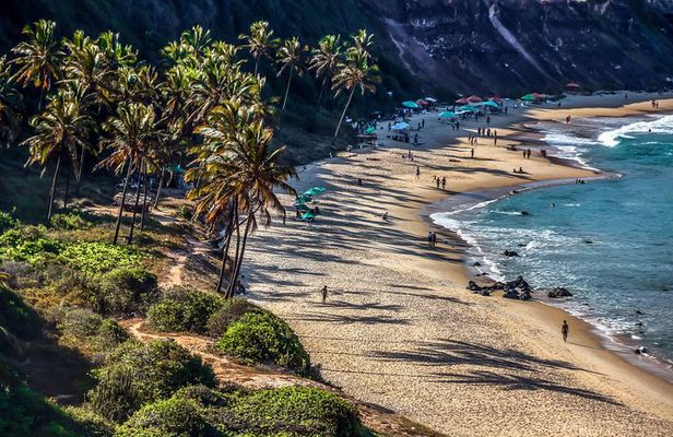 Sun and Fun at Pipa Beach: Day Tour from Natal