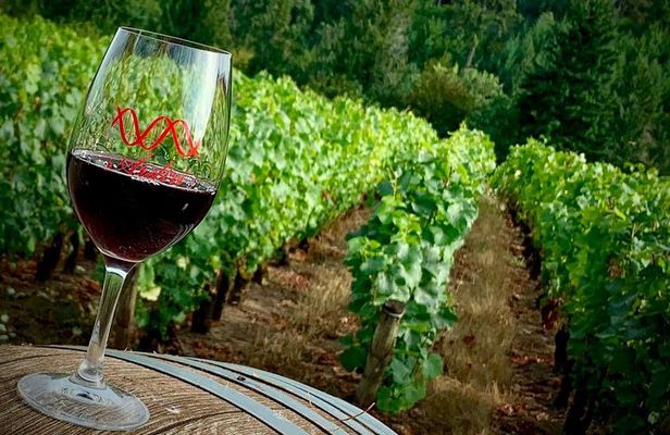 Willamette Valley Wine Tour from Portland