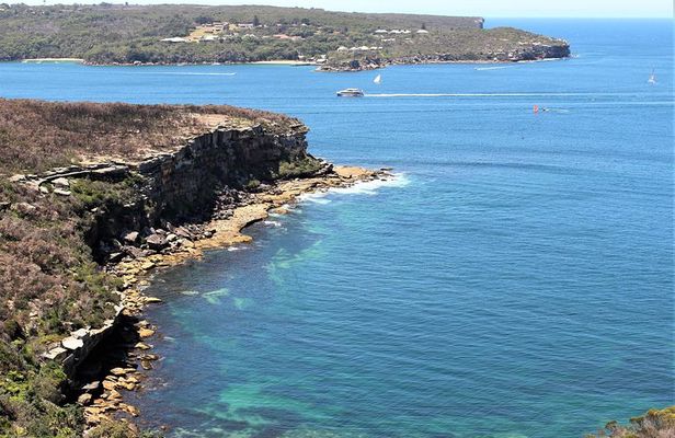 Manly & North Head Private Tour | Fairfax Walk & Harbour Views
