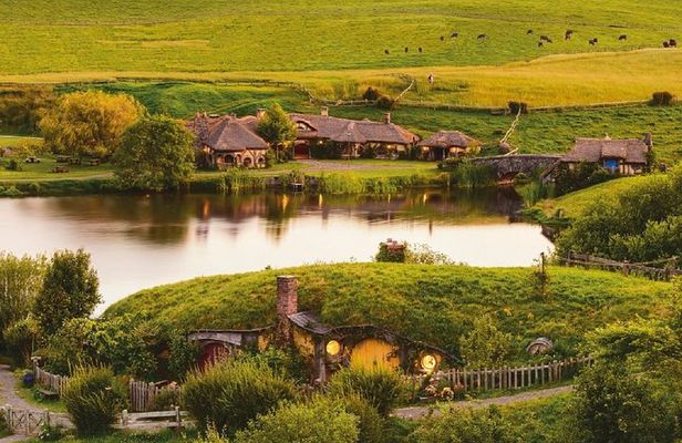 Hobbiton, Rotorua and Te Puia: Small Group -Auckland Return or Rotorua Drop Off