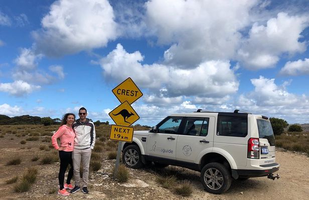 Small Group Kangaroo Island Tour - Best of KI