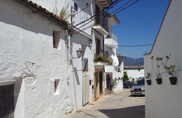 Wine & Tapas tour by electric bike (e-bike) including Ronda pickup (half day)