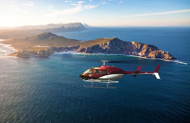 Scenic Cape Point Helicopter Tour from Cape Town